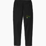 CAMPO VERDE HIGH SCHOOL COYOTES <span class="pdp-name-mascot">CAMPO VERDE COYOTES</span> Sport-Tek Youth Travel Pant Front Thumbnail