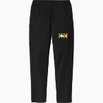 Champion Schools Stingers <span class="pdp-name-mascot">Champion Schools- Chandler Stingers</span> Sport-Tek Youth Travel Pant Front Thumbnail
