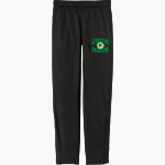 AZ Compass DRAGONS Sport-Tek Youth Tricot Track Jogger Front Thumbnail