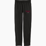 LAWRENCE COUNTY HIGH SCHOOL COUGARS Sport-Tek Youth Tricot Track Jogger Front Thumbnail