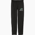North Central Thunderbirds <span class="pdp-name-mascot">North Central Thunderbirds</span> Sport-Tek Youth Tricot Track Jogger Front Thumbnail