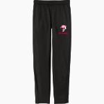 MOT Charter Mustangs Sport-Tek Youth Tricot Track Jogger Front Thumbnail