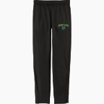 BISHOP TIMON-ST JUDE HIGH SCHOOL TIGERS <span class="pdp-name-mascot">BISHOP TIMON TIGERS</span> Sport-Tek Youth Tricot Track Jogger Front Thumbnail