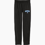 HAMPTON HIGH SCHOOL BULLDOGS <span class="pdp-name-mascot">HAMPTON BULLDOGS</span> Sport-Tek Youth Tricot Track Jogger Front Thumbnail