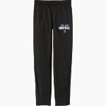 CENTRAL HIGH SCHOOL CHARGERS Sport-Tek Youth Tricot Track Jogger Front Thumbnail