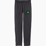 West Linn Lions <span class="pdp-name-mascot">West Linn Lions</span> Sport-Tek Youth Tricot Track Jogger Front Thumbnail