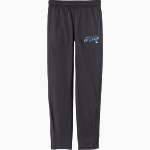 Connecticut College Camels <span class="pdp-name-mascot">Connecticut College Camels</span> Sport-Tek Youth Tricot Track Jogger Front Thumbnail