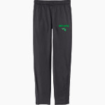 Community College of Rhode Island Knights <span class="pdp-name-mascot">COMMUNITY COLLEGE OF RHODE ISLAND Knights</span> Sport-Tek Youth Tricot Track Jogger Front Thumbnail
