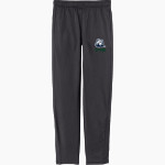 Drew Rangers <span class="pdp-name-mascot">Drew University Rangers</span> Sport-Tek Youth Tricot Track Jogger Front Thumbnail