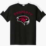 DELHI HIGH SCHOOL HAWKS Sport-Tek Youth Competitor United Short-Sleeve Crew Front Thumbnail