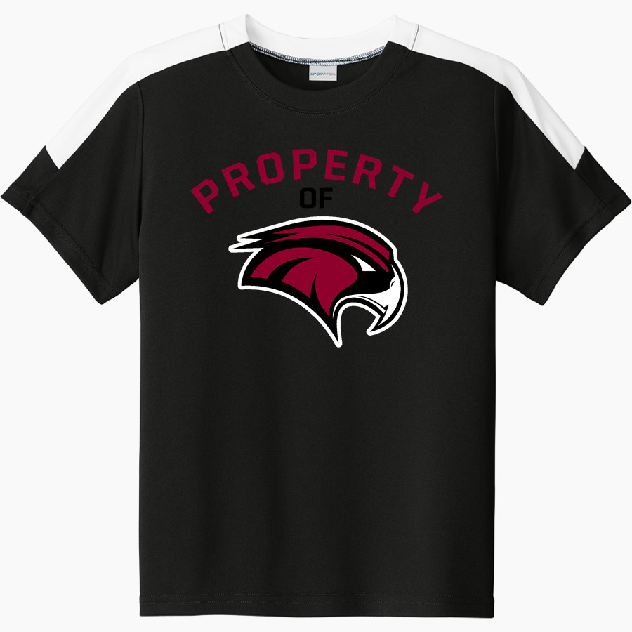 DELHI HIGH SCHOOL HAWKS Sport-Tek Youth Competitor United Short-Sleeve Crew