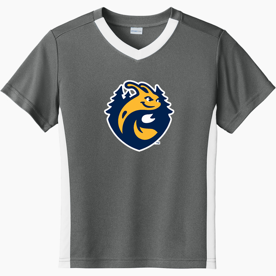 UC Santa Cruz Banana Slugs Sport-Tek Youth Competitor United Short-Sleeve V-Neck Tee