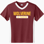 Au Gres-Sims HIGH SCHOOL WOLVERINES <span class="pdp-name-mascot">AU GRES - SIMS WOLVERINES</span> Sport-Tek Youth Competitor United Short-Sleeve V-Neck Tee Front Thumbnail