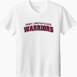 Trinity Christian Warriors <span class="pdp-name-mascot">Trinity Christian School Warriors</span> Sport-Tek Youth Competitor United Short-Sleeve V-Neck Tee Front Thumbnail