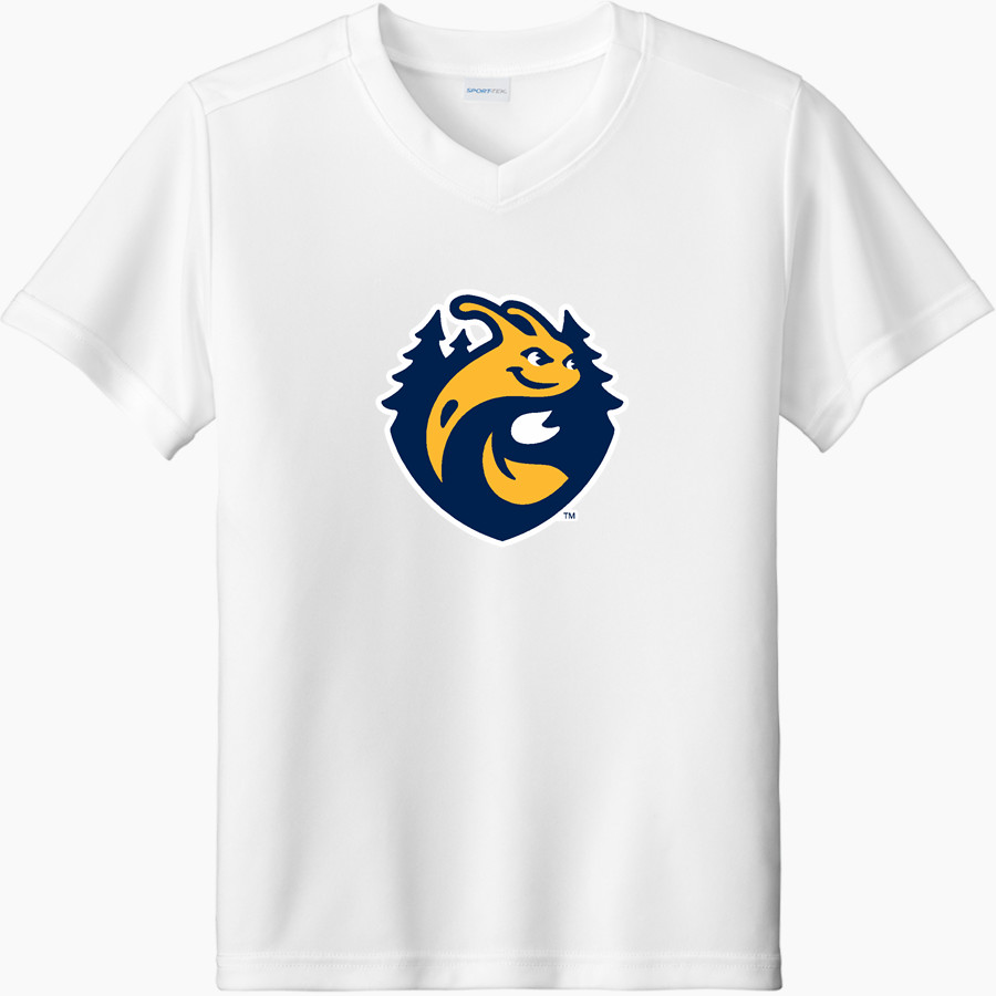 UC Santa Cruz Banana Slugs Sport-Tek Youth Competitor United Short-Sleeve V-Neck Tee
