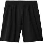 Pulaski Red Raiders <span class="pdp-name-mascot">Pulaski Red Reaiders</span> Sport-Tek Youth Competitor United 5" Short Back Thumbnail