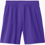 DARLINGTON HIGH SCHOOL FALCONS Sport-Tek Youth Competitor United 5" Short Back Thumbnail