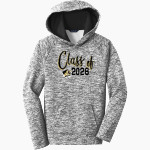 BENTONVILLE HIGH SCHOOL TIGERS <span class="pdp-name-mascot">BENTONVILLE TIGERS</span> Sport-Tek Youth PosiCharge Electric Heather Fleece Hoodie Front Thumbnail