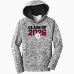 MOUNT CARMEL HIGH SCHOOL GOLDEN ACES <span class="pdp-name-mascot">MOUNT CARMEL GOLDEN ACES</span> Sport-Tek Youth PosiCharge Electric Heather Fleece Hoodie Front Thumbnail