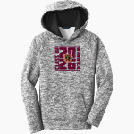 WARWICK HIGH SCHOOL RAIDERS <span class="pdp-name-mascot">WARWICK RAIDERS</span> Sport-Tek Youth PosiCharge Electric Heather Fleece Hoodie Front Thumbnail