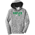Naples Big Green <span class="pdp-name-mascot">Naples Big Green</span> Sport-Tek Youth PosiCharge Electric Heather Fleece Hoodie Front Thumbnail
