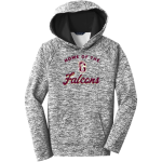WM E GRADY VOC TECH SCHOOL FALCONS <span class="pdp-name-mascot">GRADY HIGH SCHOOL FALCONS</span> Sport-Tek Youth PosiCharge Electric Heather Fleece Hoodie Front Thumbnail