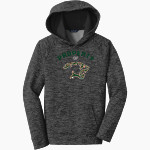 YOUGH HIGH SCHOOL COUGARS Sport-Tek Youth PosiCharge Electric Heather Fleece Hoodie Front Thumbnail
