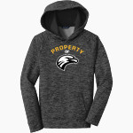 Fuentes Eagles Sport-Tek Youth PosiCharge Electric Heather Fleece Hoodie Front Thumbnail