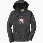 Toriography Dance TDC Sport-Tek Youth PosiCharge Electric Heather Fleece Hoodie Front Thumbnail