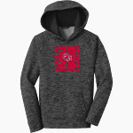 Oak Mountain Eagles Sport-Tek Youth PosiCharge Electric Heather Fleece Hoodie Front Thumbnail