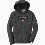 Oswego Panthers <span class="pdp-name-mascot">Oswego Panthers</span> Sport-Tek Youth PosiCharge Electric Heather Fleece Hoodie Front Thumbnail