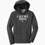 Calvary Lions Sport-Tek Youth PosiCharge Electric Heather Fleece Hoodie Front Thumbnail