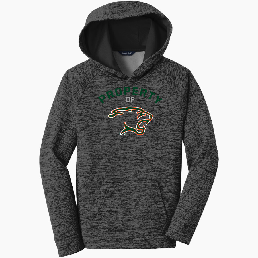 YOUGH HIGH SCHOOL COUGARS Sport-Tek Youth PosiCharge Electric Heather Fleece Hoodie