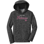 Deer Park Falcons <span class="pdp-name-mascot">Deer Park Falcons</span> Sport-Tek Youth PosiCharge Electric Heather Fleece Hoodie Front Thumbnail