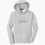 BELLARMINE PREPARATORY SCHOOL LIONS <span class="pdp-name-mascot">BELLARMINE PREPARATORY LIONS</span> Sport-Tek Youth PosiCharge Electric Heather Fleece Hoodie Front Thumbnail