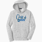 Divine Savior Academy Sharks Sport-Tek Youth PosiCharge Electric Heather Fleece Hoodie Front Thumbnail