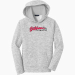 ANNVILLE-CLEONA HIGH SCHOOL DUTCHMEN Sport-Tek Youth PosiCharge Electric Heather Fleece Hoodie Front Thumbnail