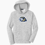 Calvary Lions Sport-Tek Youth PosiCharge Electric Heather Fleece Hoodie Front Thumbnail