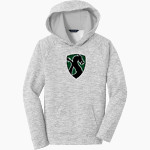 Drew Dragons <span class="pdp-name-mascot">Drew School Dragons</span> Sport-Tek Youth PosiCharge Electric Heather Fleece Hoodie Front Thumbnail