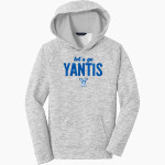 YANTIS HIGH SCHOOL OWLS Sport-Tek Youth PosiCharge Electric Heather Fleece Hoodie Front Thumbnail