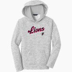 FAYETTEVILLE HIGH SCHOOL LIONS <span class="pdp-name-mascot">FAYETTEVILLE LIONS</span> Sport-Tek Youth PosiCharge Electric Heather Fleece Hoodie Front Thumbnail