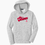 ASPEN HIGH SCHOOL SKIERS <span class="pdp-name-mascot">ASPEN SKIERS</span> Sport-Tek Youth PosiCharge Electric Heather Fleece Hoodie Front Thumbnail