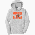 SPRINGTOWN HIGH SCHOOL PORCUPINES Sport-Tek Youth PosiCharge Electric Heather Fleece Hoodie Front Thumbnail