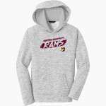 HARDING UNIVERSITY HIGH SCHOOL RAMS Sport-Tek Youth PosiCharge Electric Heather Fleece Hoodie Front Thumbnail