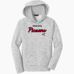 SEVASTOPOL HIGH SCHOOL PIONEERS <span class="pdp-name-mascot">SEVASTOPOL PIONEERS</span> Sport-Tek Youth PosiCharge Electric Heather Fleece Hoodie Front Thumbnail