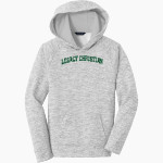 LEGACY CHRISTIAN WARRIORS <span class="pdp-name-mascot">LEGACY WARRIORS</span> Sport-Tek Youth PosiCharge Electric Heather Fleece Hoodie Front Thumbnail