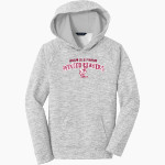 Avon Old Farms Winged Beavers <span class="pdp-name-mascot">Avon Old Farms School Winged Beavers</span> Sport-Tek Youth PosiCharge Electric Heather Fleece Hoodie Front Thumbnail