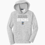Highview Hawks <span class="pdp-name-mascot">Highview Elementary School Hawks</span> Sport-Tek Youth PosiCharge Electric Heather Fleece Hoodie Front Thumbnail