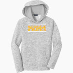 HUDSONVILLE HIGH SCHOOL EAGLES <span class="pdp-name-mascot">HUDSONVILLE EAGLES</span> Sport-Tek Youth PosiCharge Electric Heather Fleece Hoodie Front Thumbnail