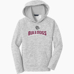 ROSSFORD HIGH SCHOOL BULLDOGS Sport-Tek Youth PosiCharge Electric Heather Fleece Hoodie Front Thumbnail